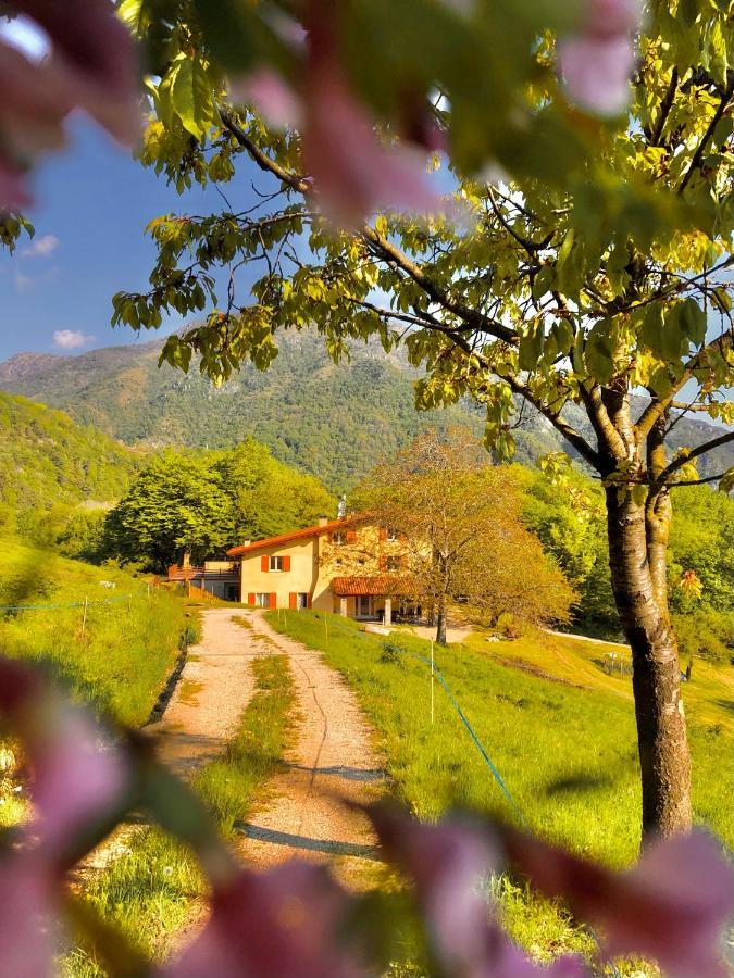 Agriturismo San Lorenzo Di Persegno Villa Toscolano-Maderno Kültér fotó