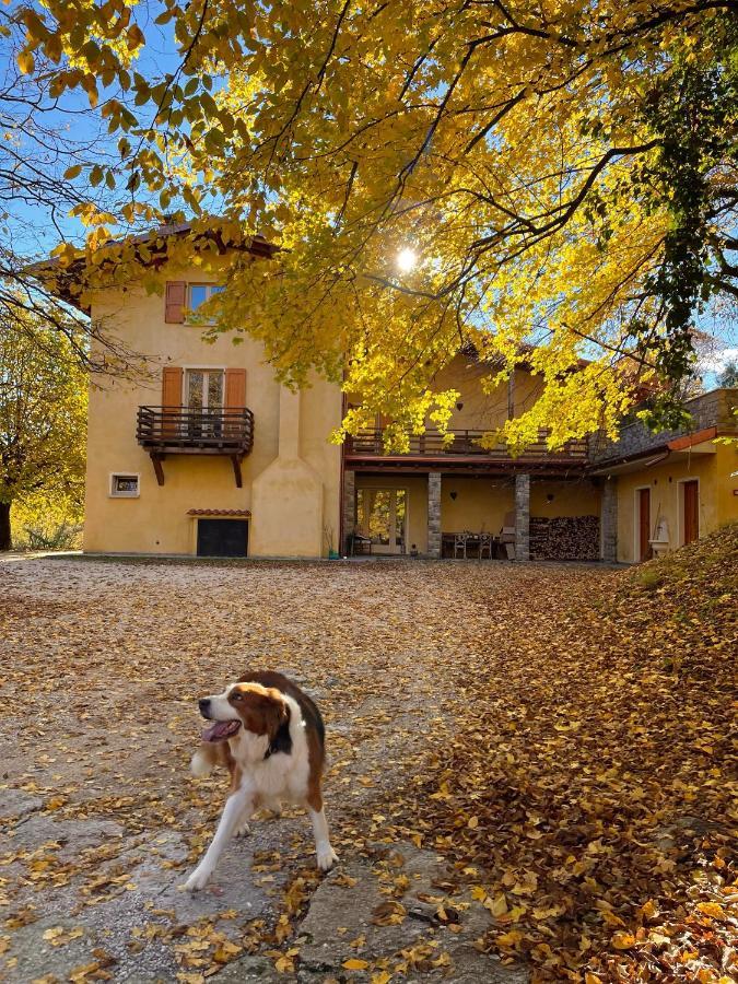 Agriturismo San Lorenzo Di Persegno Villa Toscolano-Maderno Kültér fotó