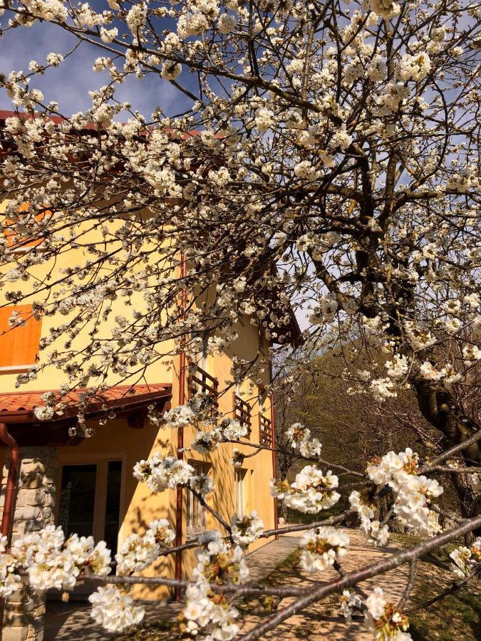 Agriturismo San Lorenzo Di Persegno Villa Toscolano-Maderno Kültér fotó