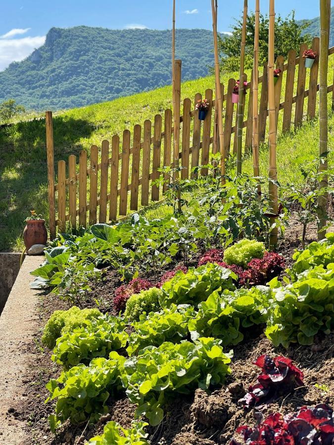 Agriturismo San Lorenzo Di Persegno Villa Toscolano-Maderno Kültér fotó